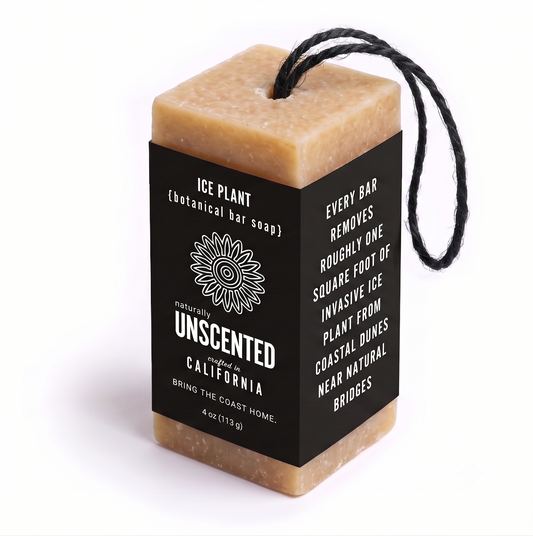 Ice Plant Soap Bar - Unscented